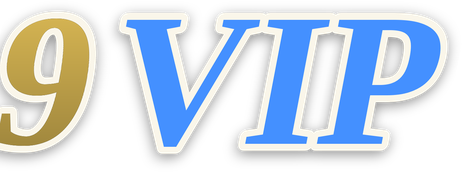 9vip